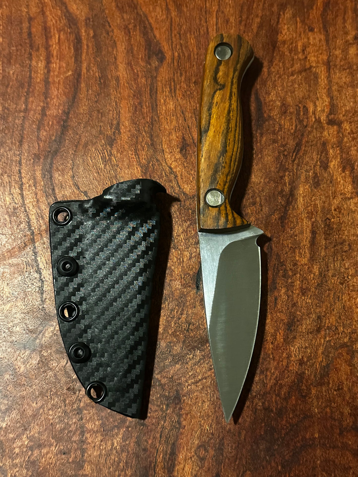 Bracero Fixed Blade Hunting Knife 8Cr13MoV Steel w/ Mexican Bocote Handle Carbon Kydex Sheath