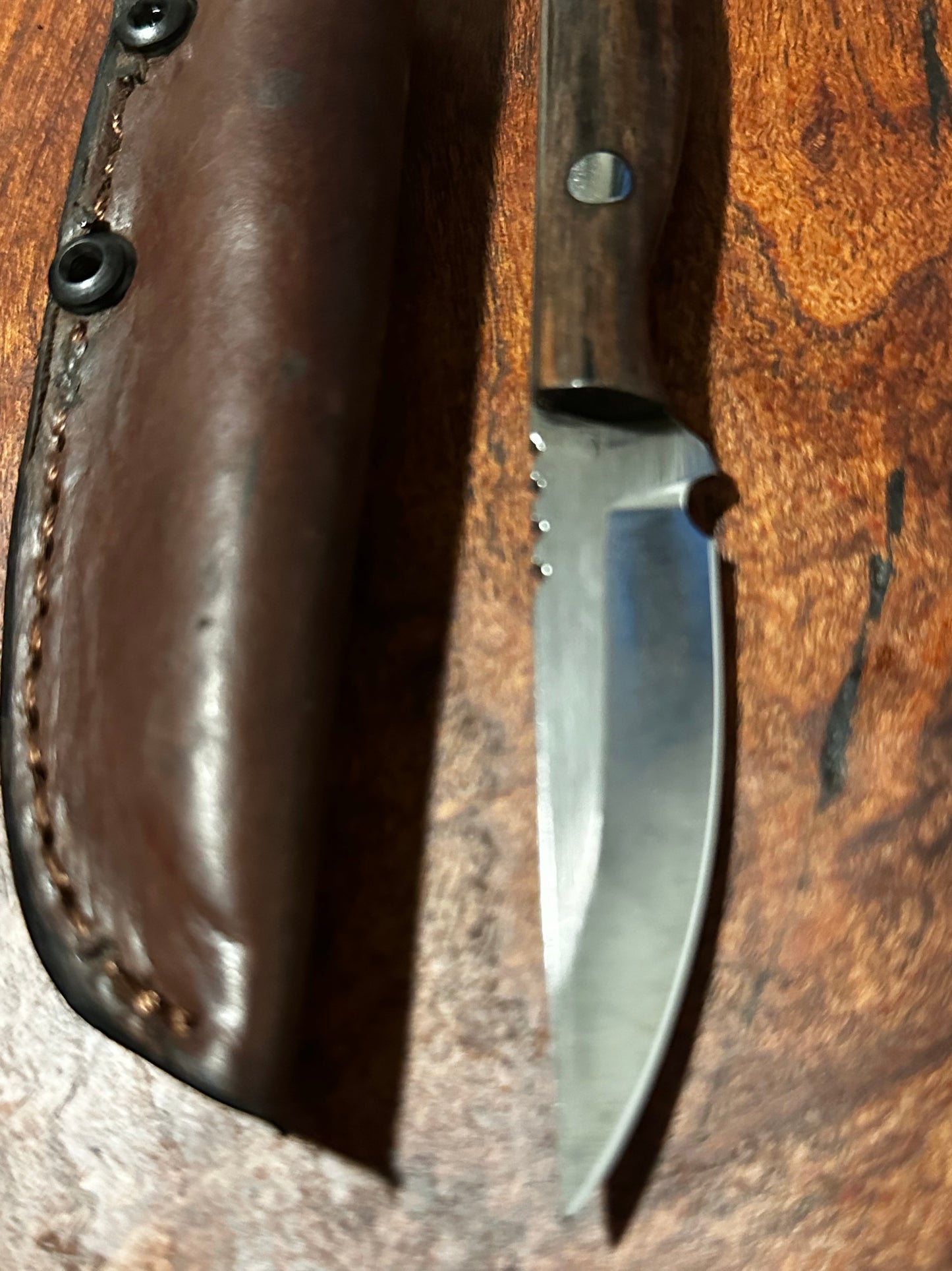 RockinEDC Flaco Fixed Blade Knife 80CrV2 High Carbon Steel Macassar Ebony handle & leather sheath USA Texas Made