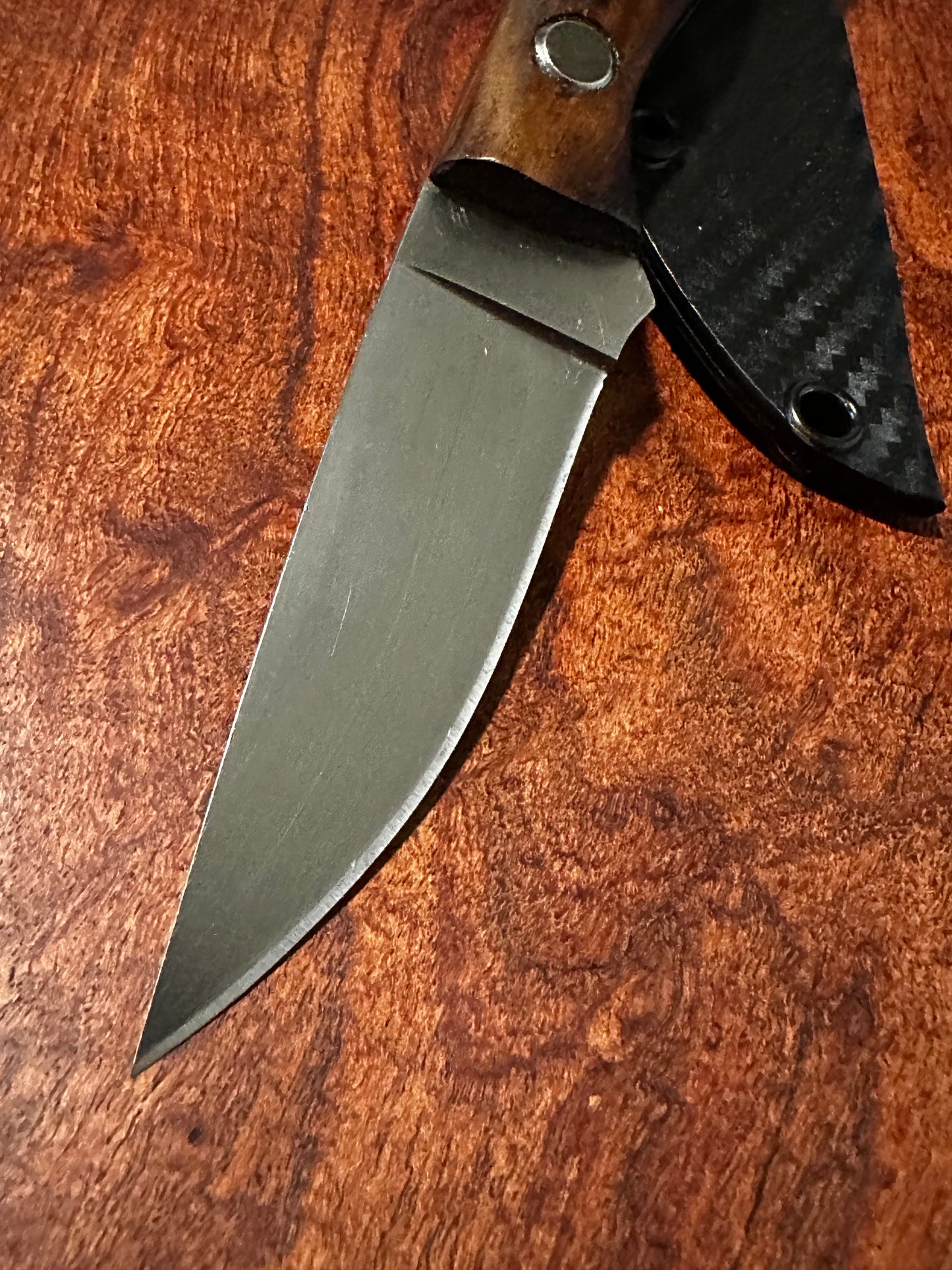 Handmade 8Cr13MoV Fixed Blade EDC Knife 3” Blade Claro Walnut Handle Carbon Kydex Sheath l